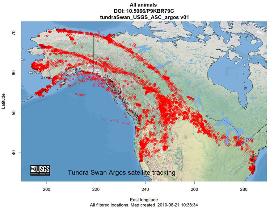 Tundra Swans Argos satellite tracking map