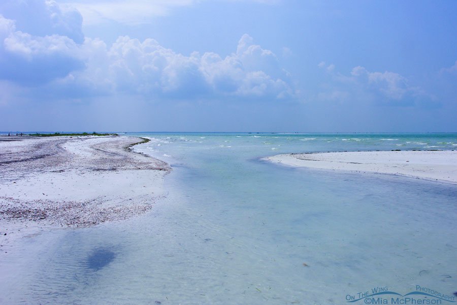 The Gulf of Mexico and storm clouds from Anclote Key, Florida