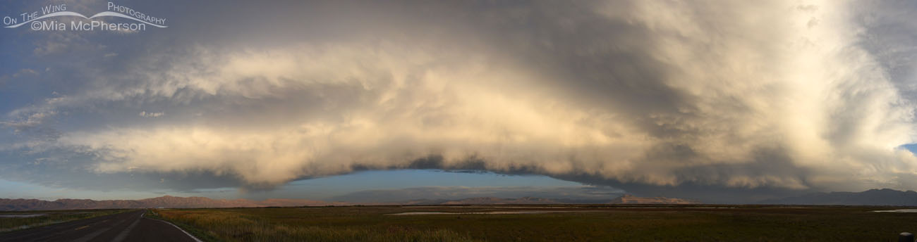 Shelf cloud from West to East at Bear River MBR on October 23, 2023, Bear River Migratory Bird Refuge, Box Elder County, Utah