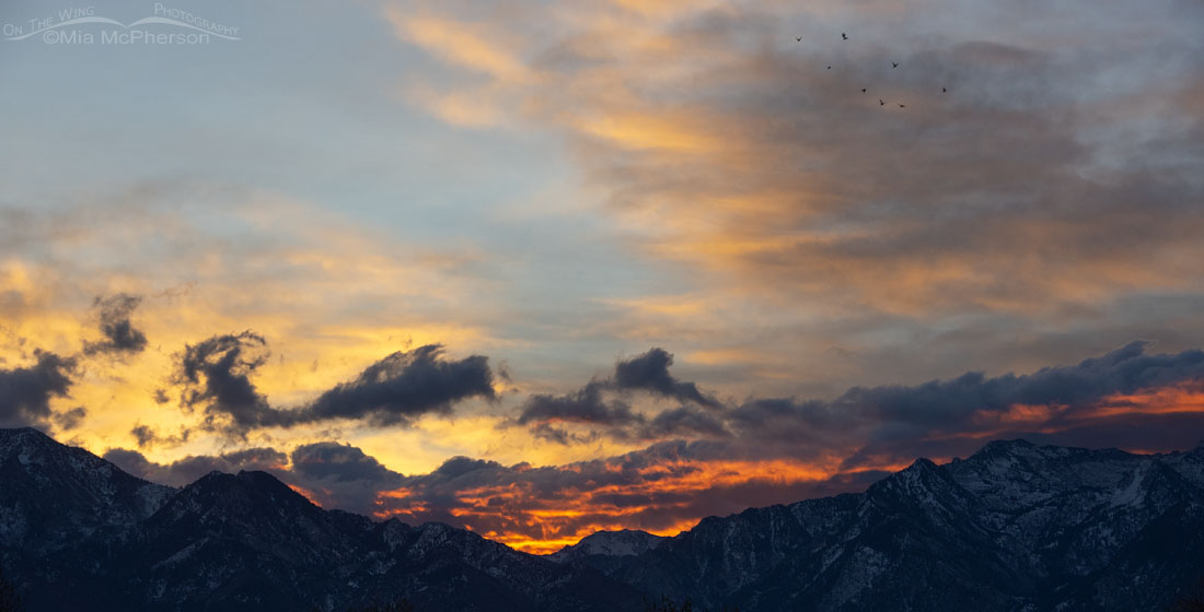 Glowing sunrise over the Wasatch Mountains, Salt Lake County, Utah