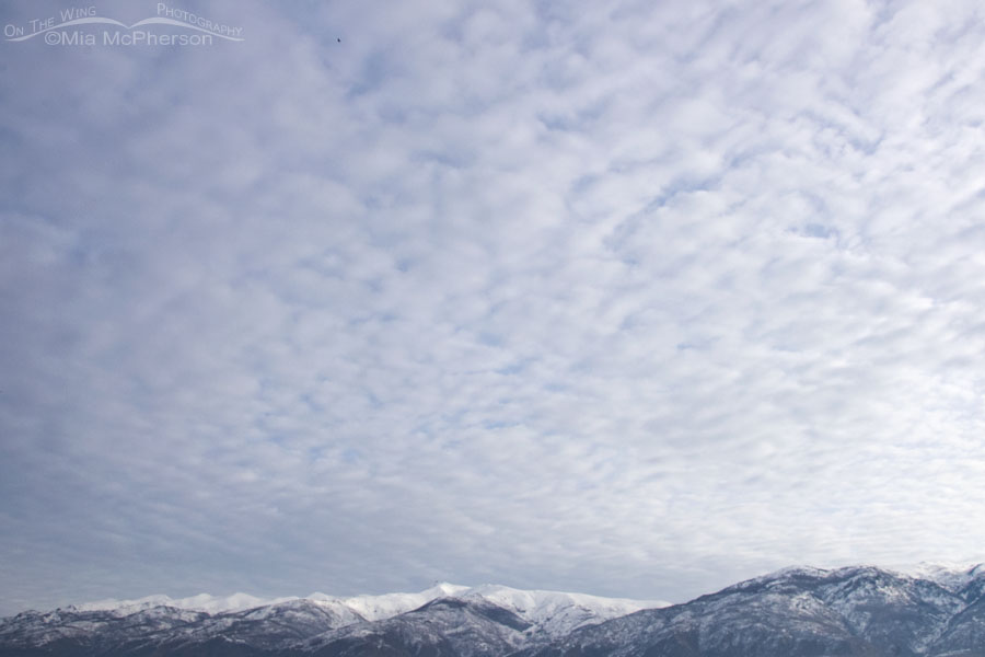 Clouds over the Wasatch Mountain Range viewed from Farmington Bay WMA, Farmington Bay WMA, Davis County, Utah