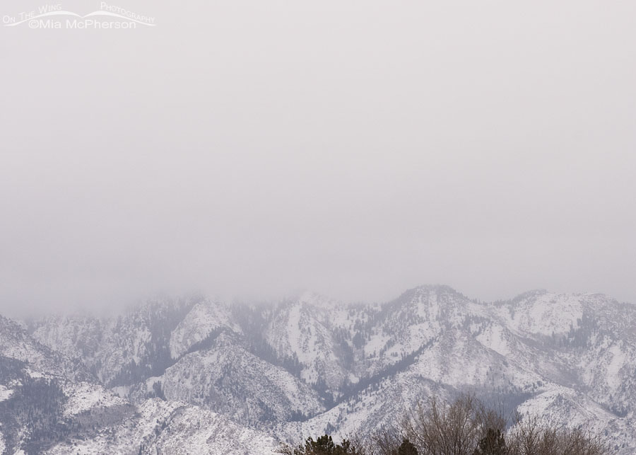 Wintry Wasatch Mountain peaks in January, Salt Lake County, Utah