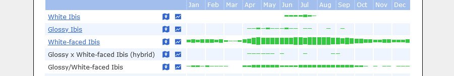 White-faced Ibis Davis and Box Elder County eBird graph