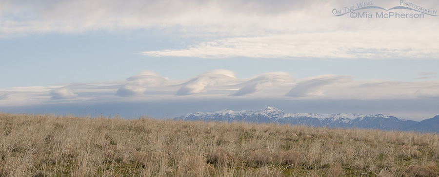 Wasatch Mountains and Kelvin-Helmholtz clouds as seen from Antelope Island State Park, Davis County, Utah