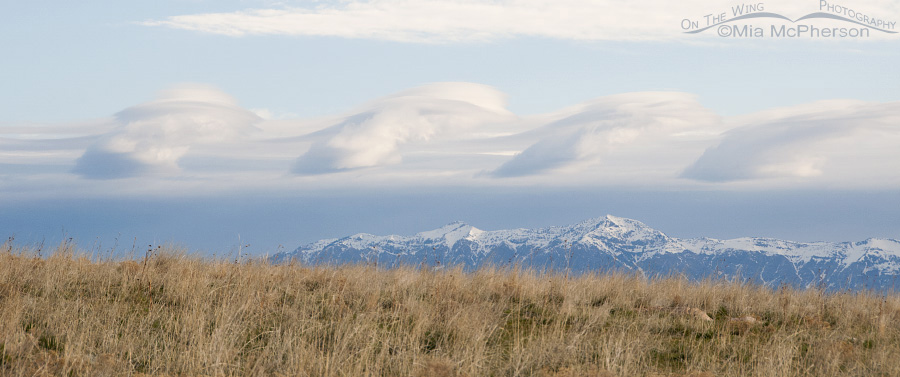 Wave Cloud Formation (Kelvin-Helmholtz clouds) over snow-capped Wasatch Range as seen from Antelope Island State Park, Davis County, Utah