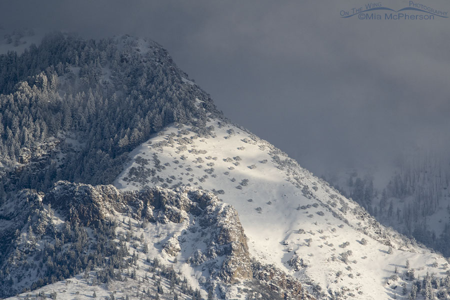 Sunlight on the snow-covered peaks of the Wasatch Mountain Range, Salt Lake County, Utah