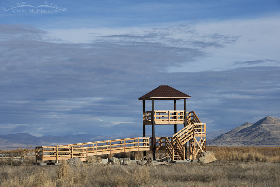 New observation tower at Bear River MBR, Box Elder County, Utah