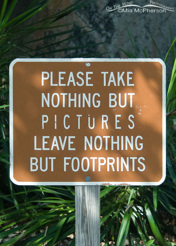 Please take nothing but pictures leave nothing but footprints, Egmont Key, Pinellas County, Florida
