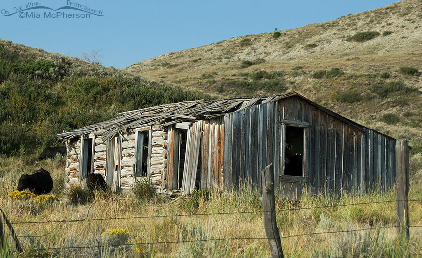 An old homestead in the Centennial Valley of Montana, Beaverhead County