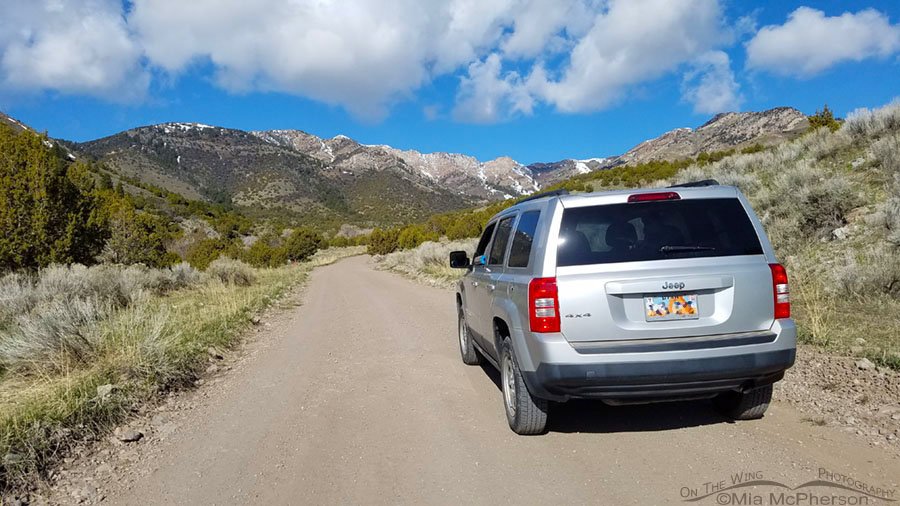 April 20, 2020 - West Desert Wandering, Stansbury Mountains, Tooele County, Utah