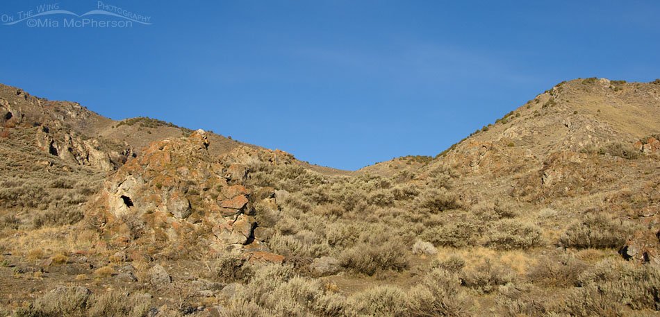 Spring view from a rural road in Box Elder County, Utah