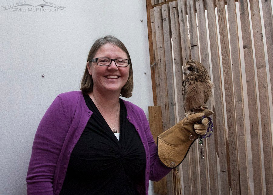 Nikki Wayment with Galileo the Short-eared Owl in his mew (C), Salt Lake County, Utah