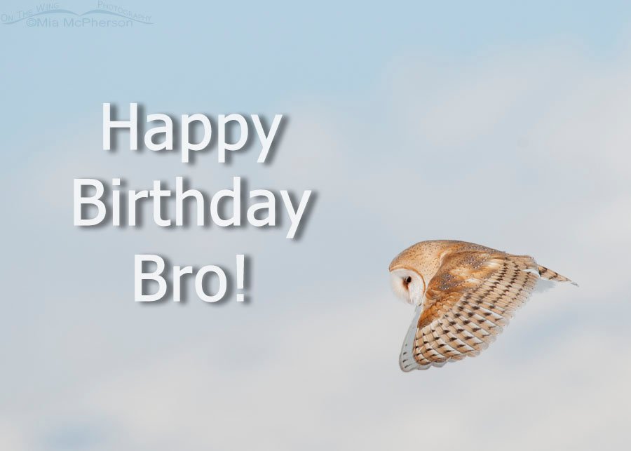 Happy Birthday Bro!