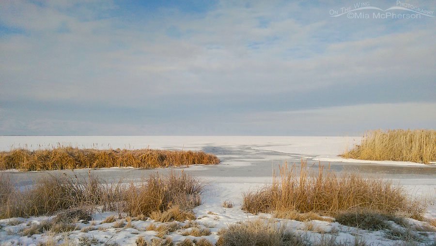Wintry View of Bear River Migratory Bird Refuge in Box Elder County, Utah