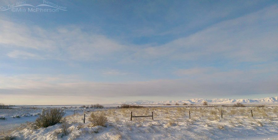Frigid winter scenery in Box Elder County, Utah