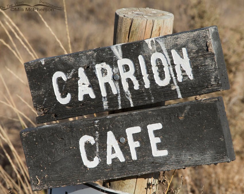 Carrion Cafe sign, Box Elder County, Utah