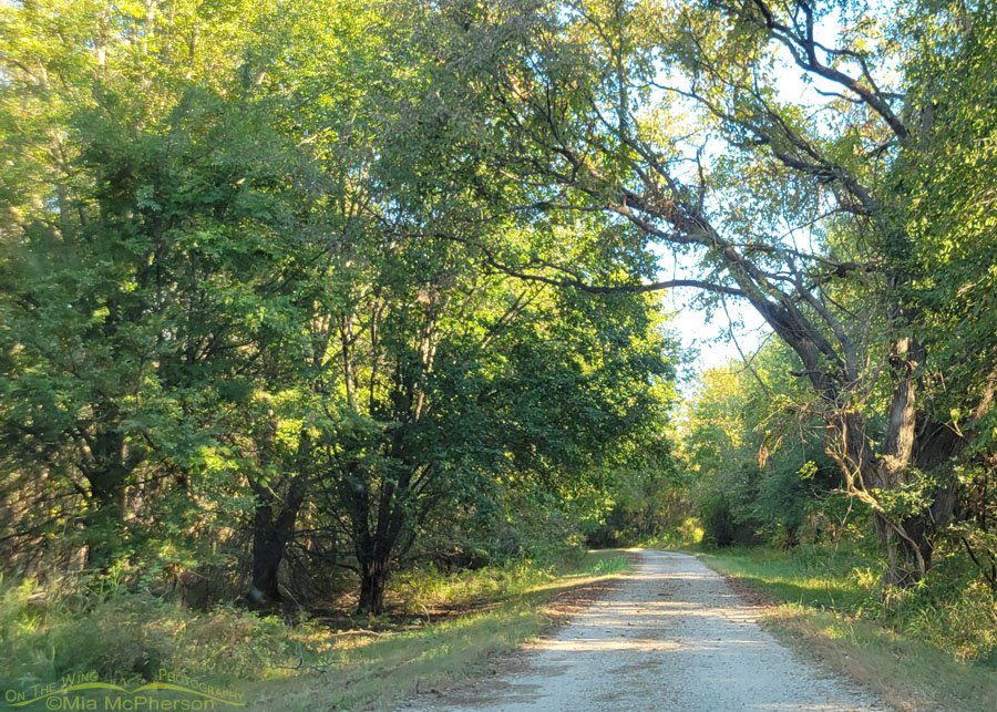 Mid October scenery at Sequoyah National Wildlife Refuge, Oklahoma