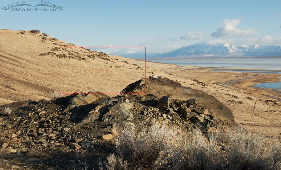 View from Frary Peak Trailhead with inset, Antelope Island State Park, Utah