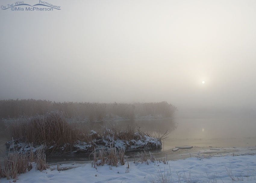 Farmington Bay WMA in a heavy fog, Davis county in northern Utah