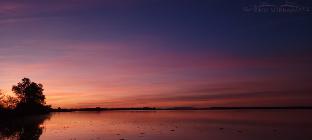 Colorful November sunrise at Sequoyah National Wildlife Refuge, Oklahoma