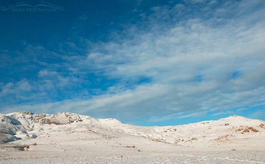 Bright winter day on snow-covered Antelope Island State Park, Davis County, Utah