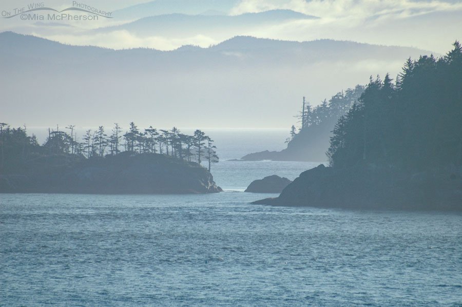 Pacific Coast Alaskan islands with mist and clouds, Alaska