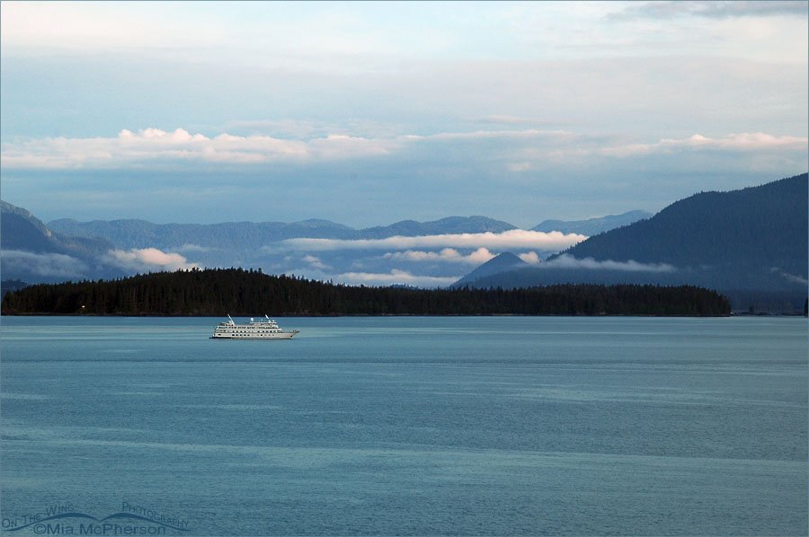 Cruising Tracy Arm - View of silt laden water, mountains and clouds, Tracy Arm, Alaska