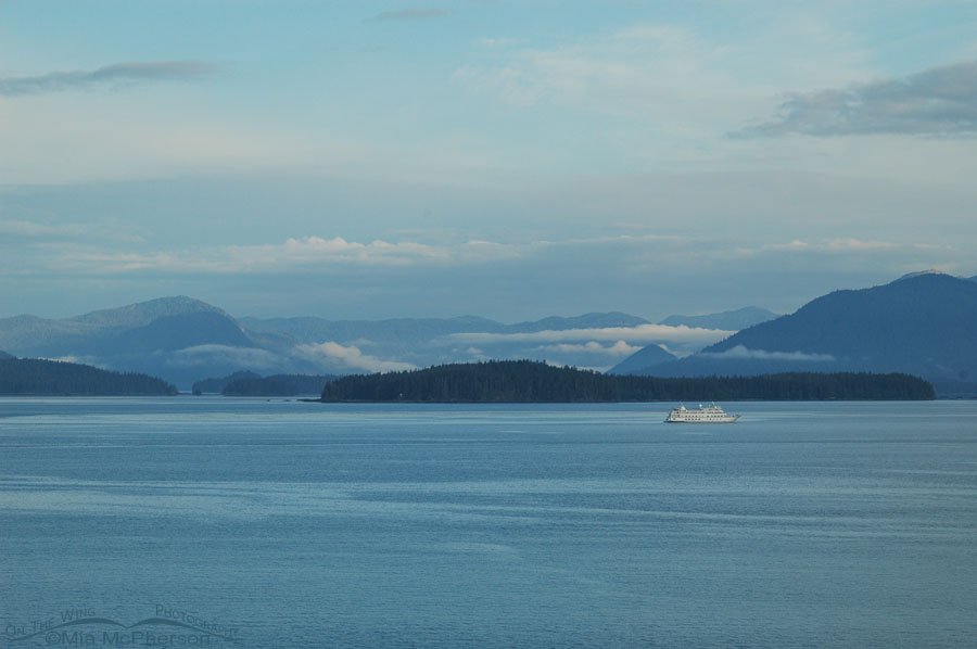 Cruising up Tracy Arm view, Alaska