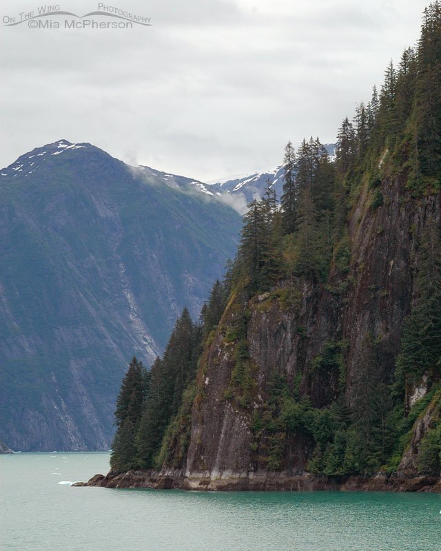 Bend in Tracy Arm Fjord, Alaska