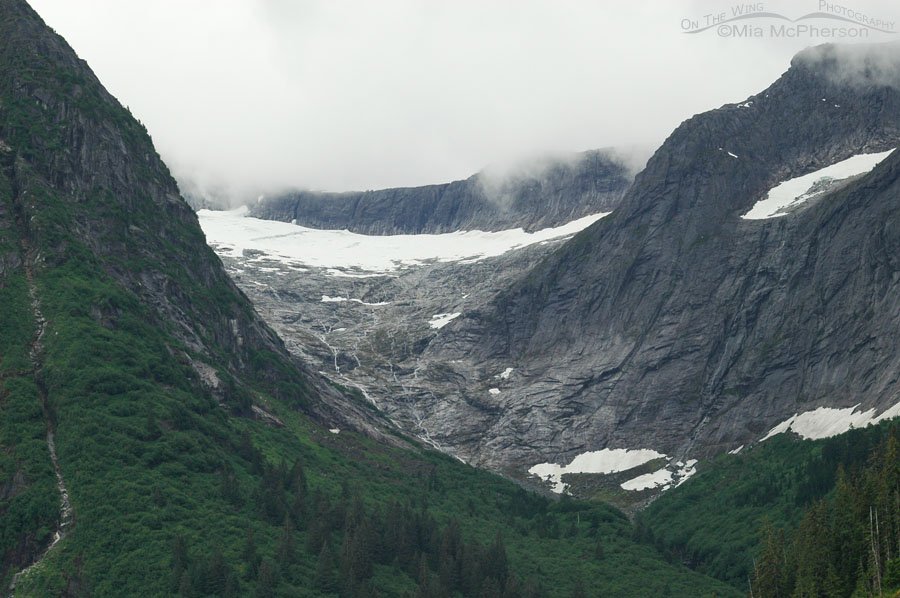 View from inside Tracy Arm fjord, Alaska