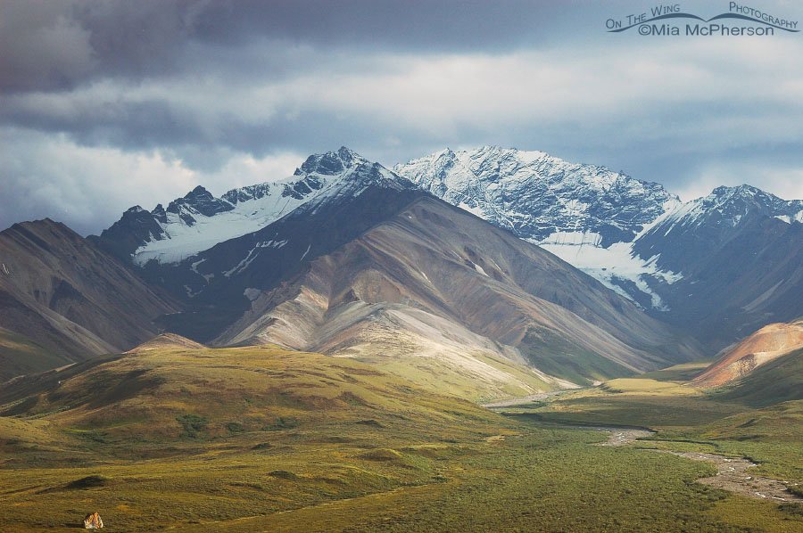 Denali National Park - Polychrome Pass view, Alaska