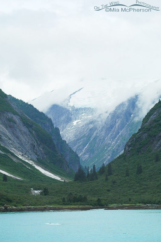 Views of Tracy Arm with mountains and a hanging glacier, Tracy Arm, Alaska