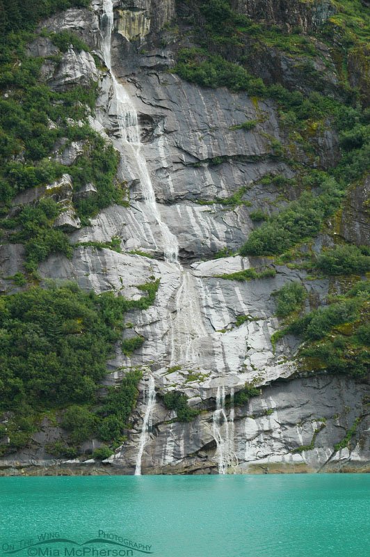 Waterfall and water colored by glacial silt up Tracy Arm, Alaska