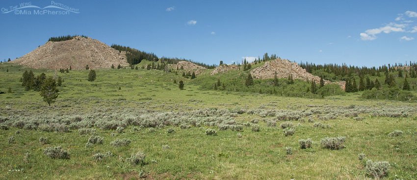 View from near the top of Alaska Basin, Beaverhead National Forest, Beaverhead County, Montana or Targhee National Forest, Fremont County, Idaho