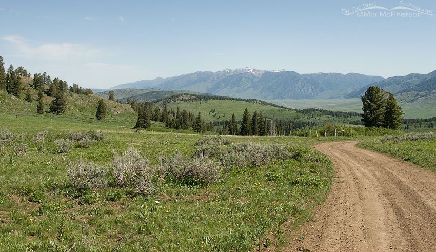 Alaska Basin trail facing north east, Beaverhead National Forest, Beaverhead County, Montana or Targhee National Forest, Fremont County, Idaho