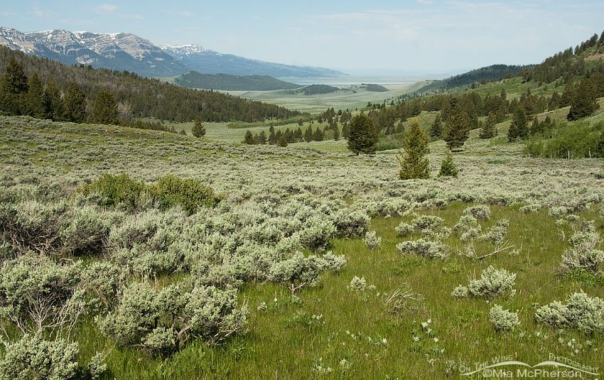 Montana's Alaska Basin view, Beaverhead National Forest, Beaverhead County, Montana or Targhee National Forest, Fremont County, Idaho