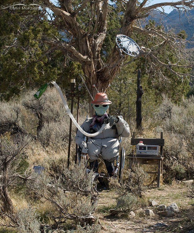 Alien Road Watcher, Great Basin National Park, White Pine County, Nevada