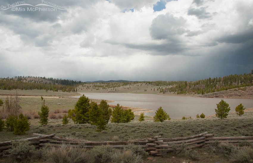 Browne Lake perhaps? Ashley National Forest, Daggett County, Utah