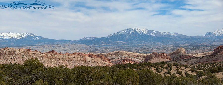View of Capitol Reef NP from Burr Trail, Wayne County or Garfield County, Utah