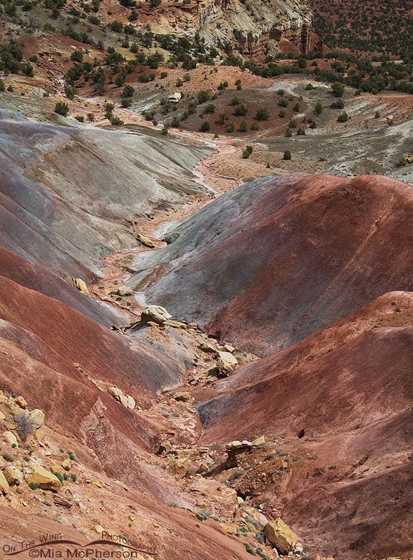 Burr Trail Illusion, Wayne County, Utah