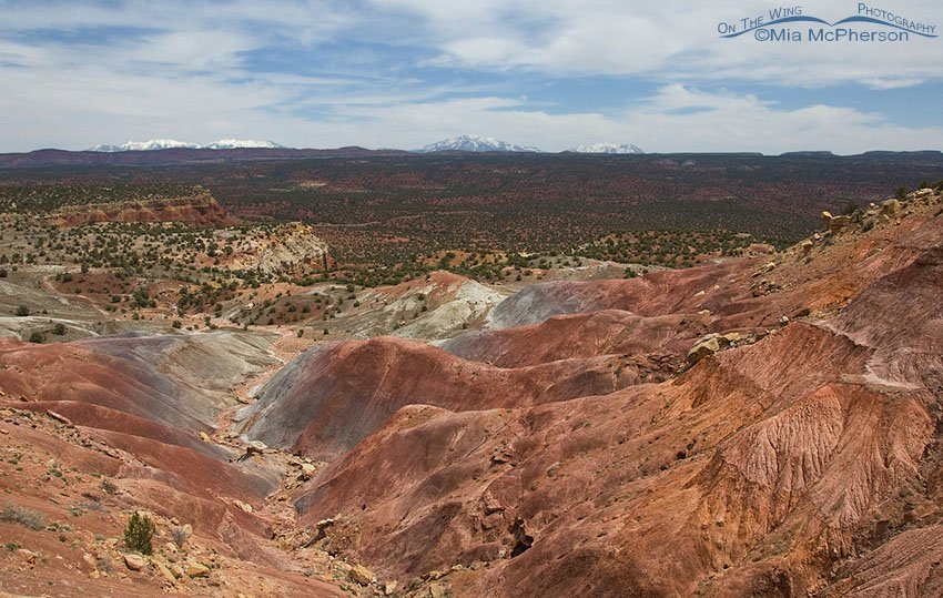 Burr Trail Illusion Revealed, Wayne County, Utah