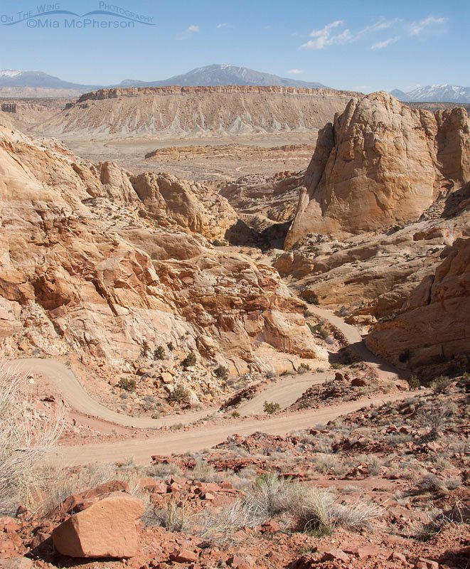 Looking down at all the switchbacks on Burr Trail, Burr Trail, Garfield County, Utah
