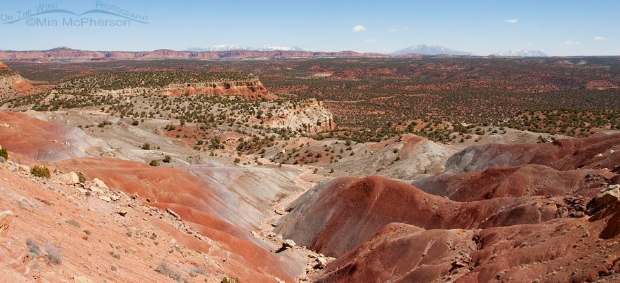 More amazing colors seen at Burr Trail, Utah