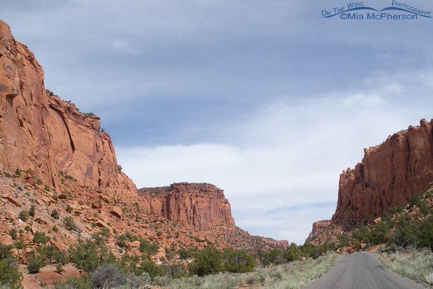 Burr Trail, Utah, Wayne County or Garfield County