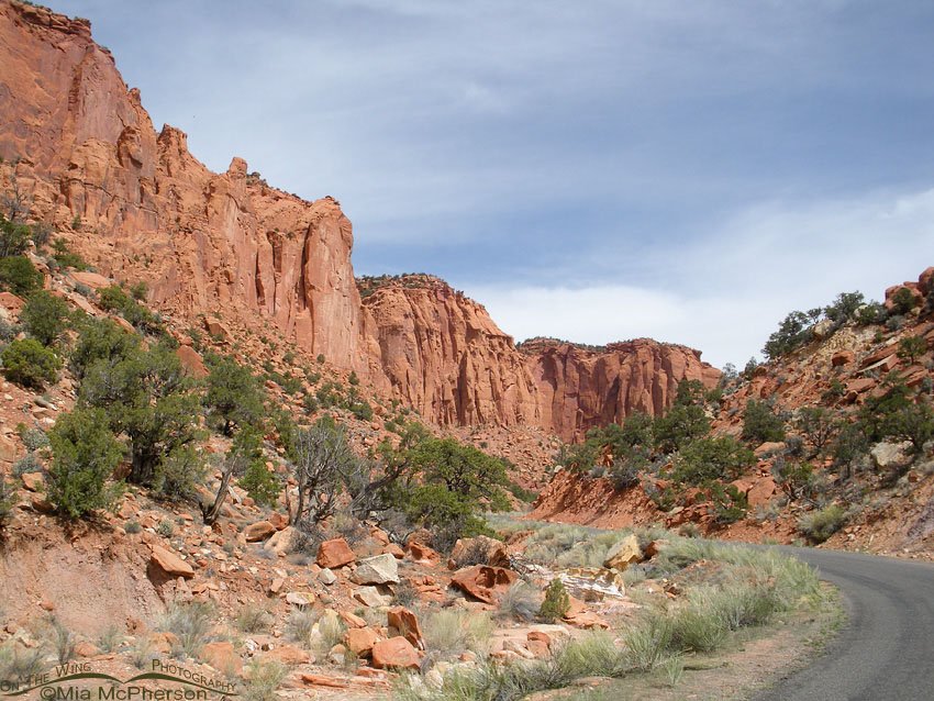 Yet more curves ahead at Burr Trail, Wayne County or Garfield County, Utah