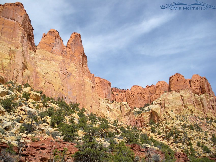 Awesome colors along the Burr Trail, Wayne County or Garfield County, Utah