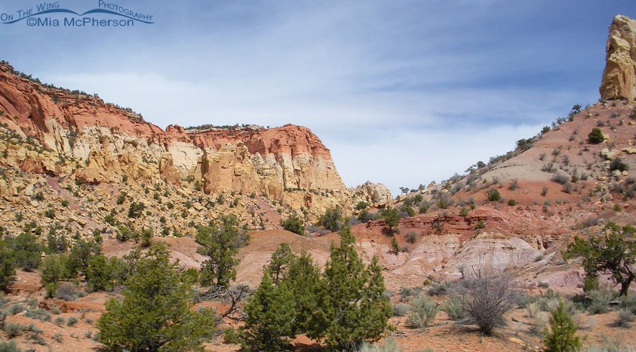Burr Trail panoramic view, Wayne County or Garfield County, Utah