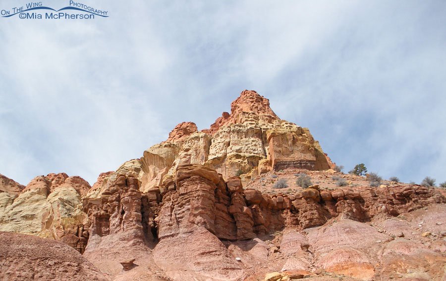 Sandstone Crown at Burr Trail, Wayne County or Garfield County, Utah