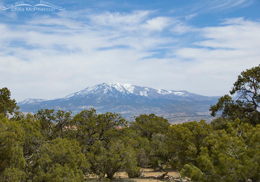 Approaching the entrance to Capitol Reef from Burr Trail, Wayne County or Garfield County, Utah