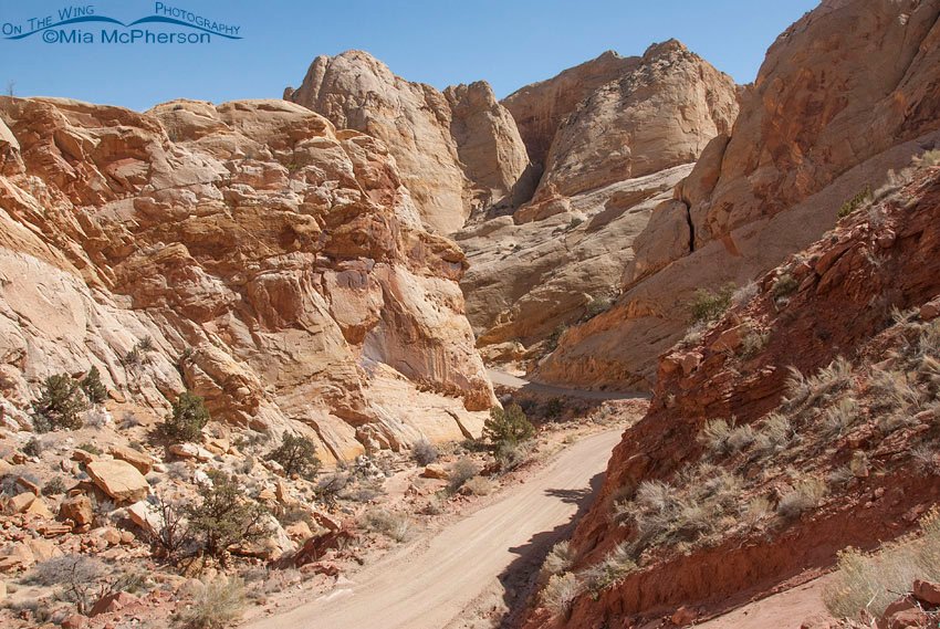 Road to Burr Trail, Burr Trail, Garfield County, Utah